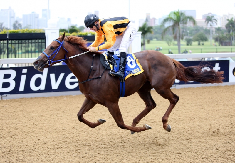 Horse Racing Triple Tiara